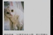娱乐吃瓜酱猫叫,揭秘娱乐圈那些不为人知的秘密